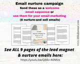 List-building kit for coaches : Manage stress with self-compassion Edition (irresistible lead magnet + email nurture campaign included)