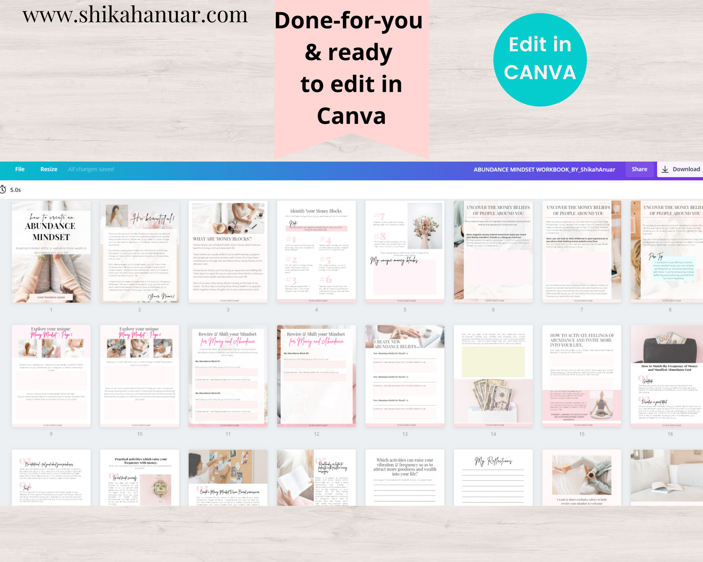 Abundance Mindset Workbook (ready to sell or use with clients)