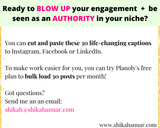 30 Mental and Emotional RESILIENCE Captions for Coaches